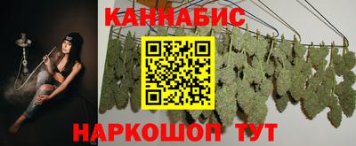 прущие грибы Нальчик