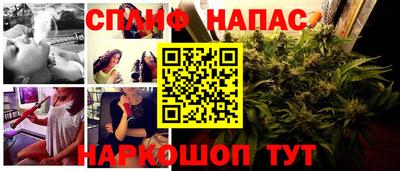 мяу мяу мука Нарткала