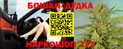 прущие грибы Нальчик