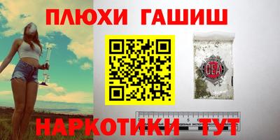 прущие грибы Нальчик