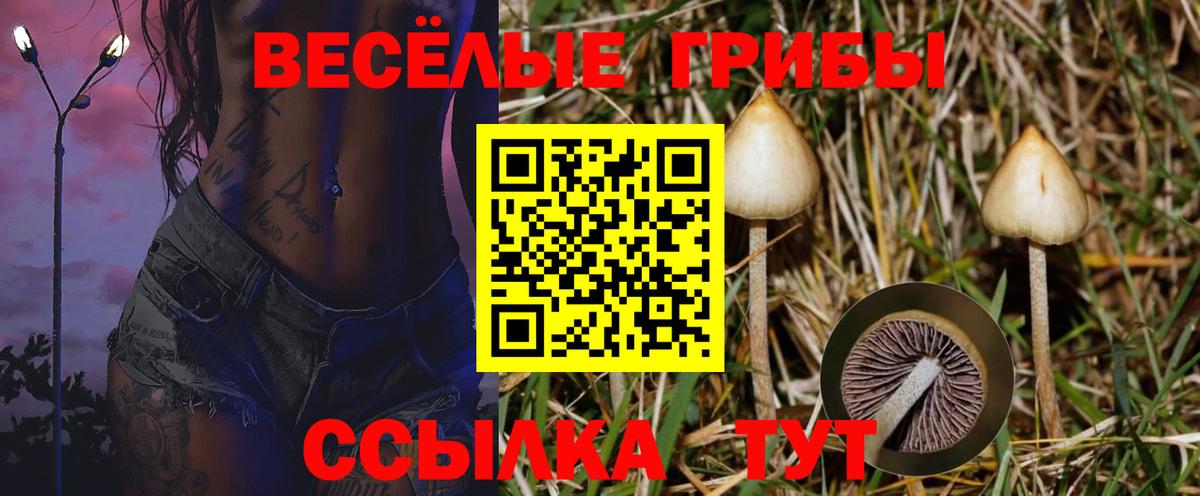 Галлюциногенные грибы GOLDEN TEACHER Узловая